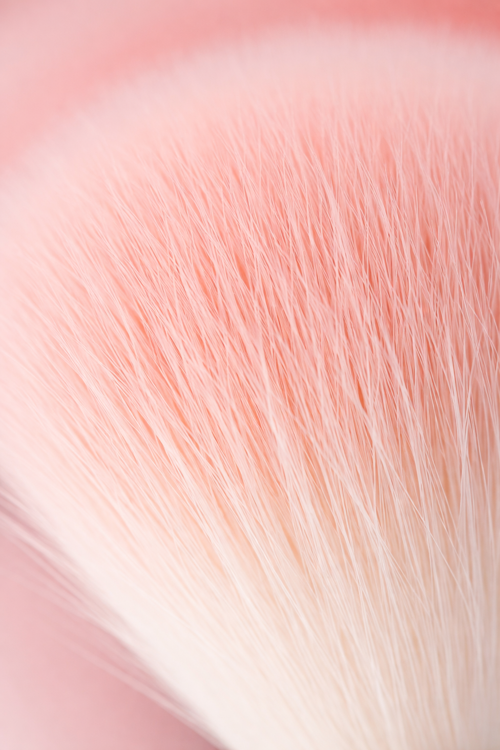 Collection Ambre - Kit 16 Pinceaux Marbre & 4 Éponges